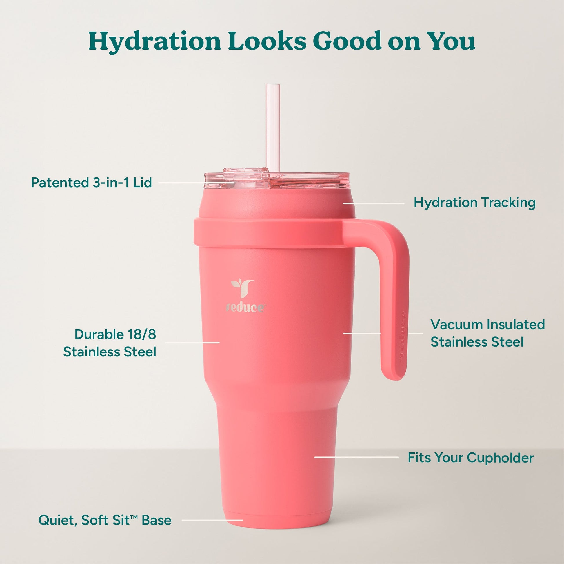 cold1-40-oz-h3 Cold1_40oz_Daiquiri_Infographic_2.jpg